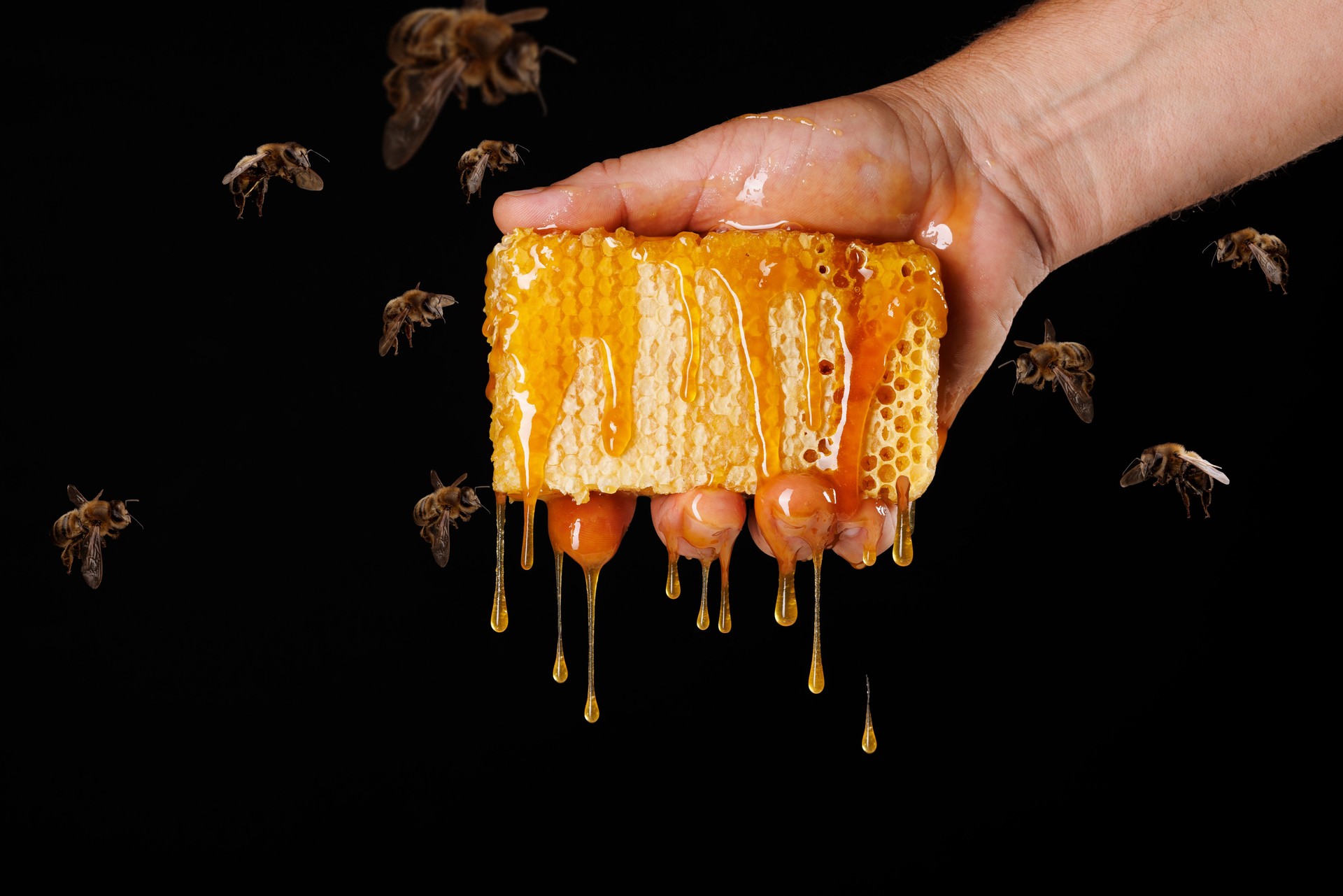 Beekeeper's hand holding honeycombs with honey dripping from them, surrounded by flying bees